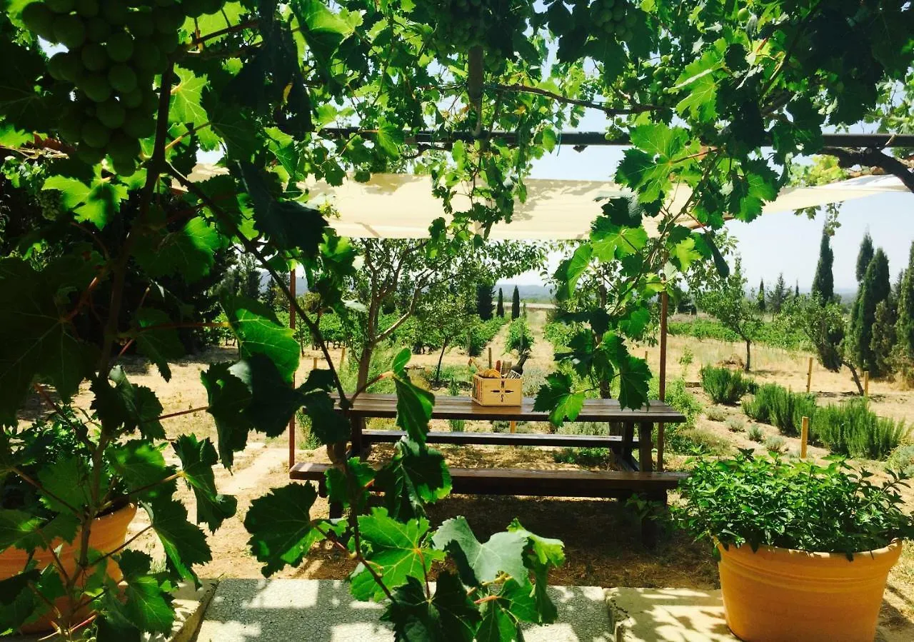 El Recer de Masia Serra Cantallops España