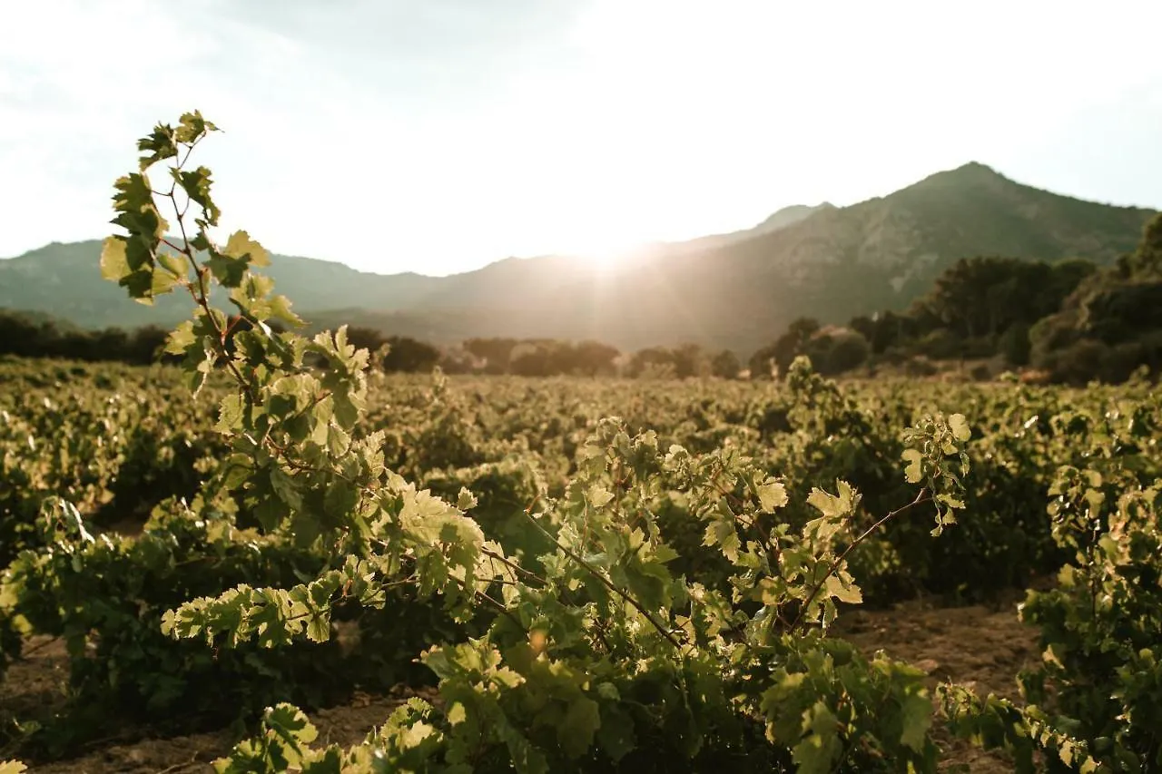 Agroturismo El Recer de Masia Serra Cantallops