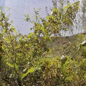 Сasa de vacaciones Casa El Dragonet, El Perelló