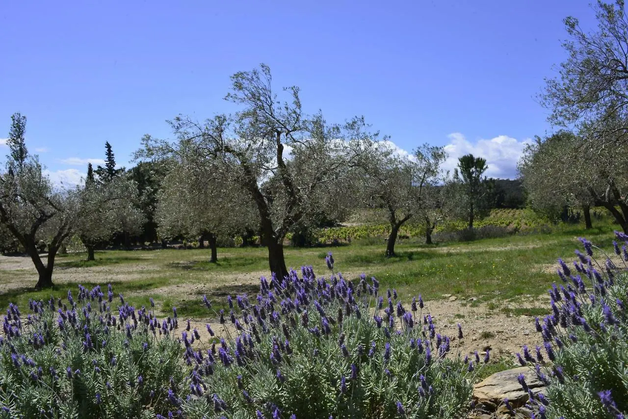 Farm stay El Recer De Masia Serra Cantallops Spain