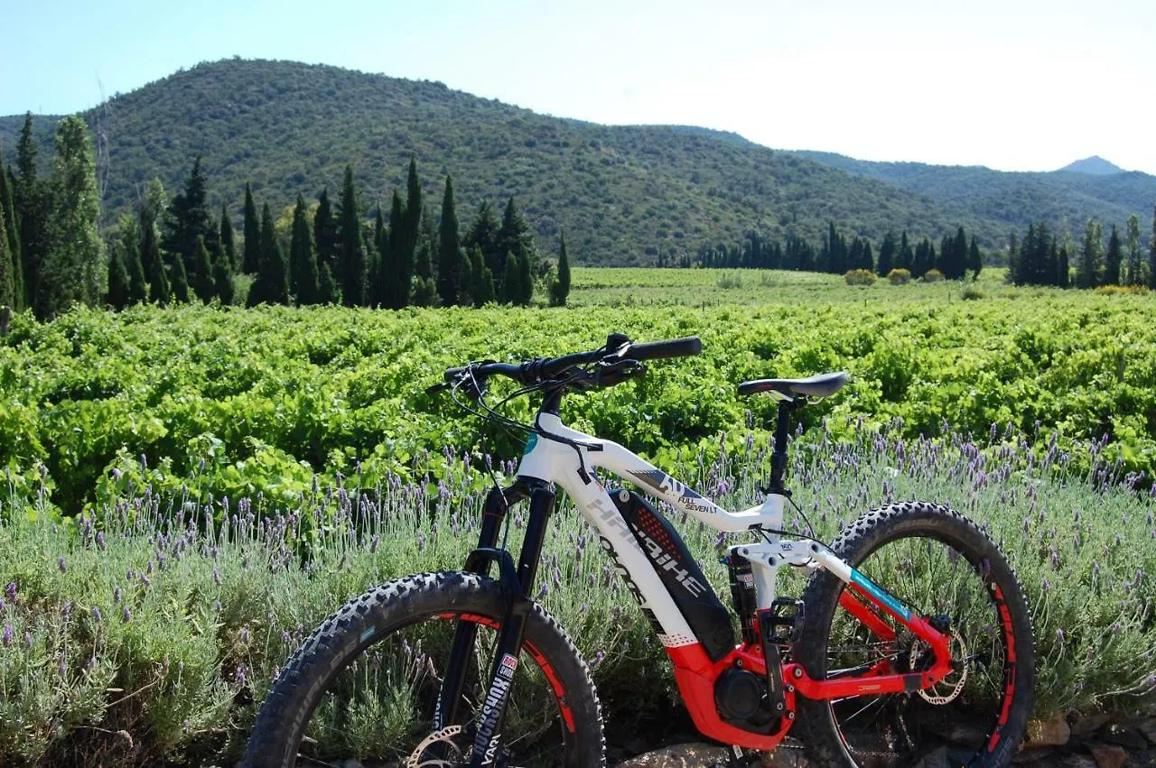 Farm stay El Recer De Masia Serra Cantallops Spain